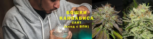 прущие грибы Богородск