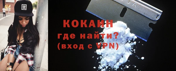 индика Бронницы