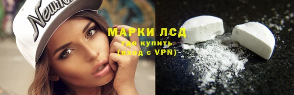 индика Бронницы