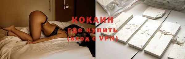 шишки Беломорск