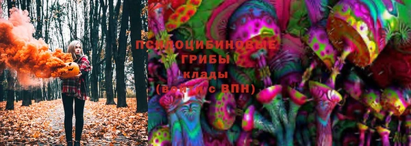 mix Бородино