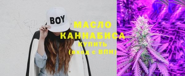 mix Бородино