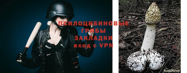 mix Бородино
