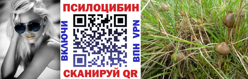 Псилоцибиновые грибы Cubensis дарнет шоп Верея
