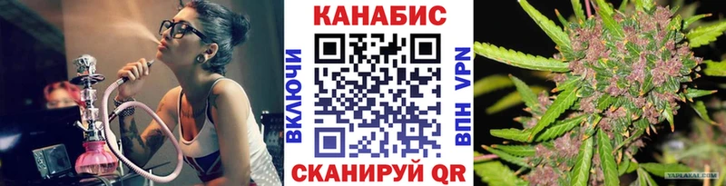 Каннабис планчик Верея